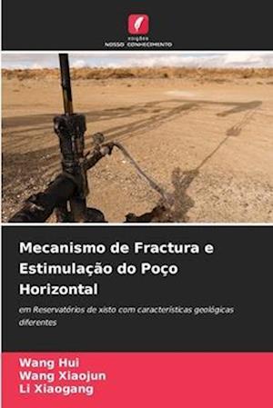 Mecanismo de Fractura e Estimulação do Poço Horizontal