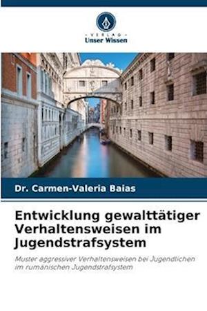 Entwicklung gewalttätiger Verhaltensweisen im Jugendstrafsystem