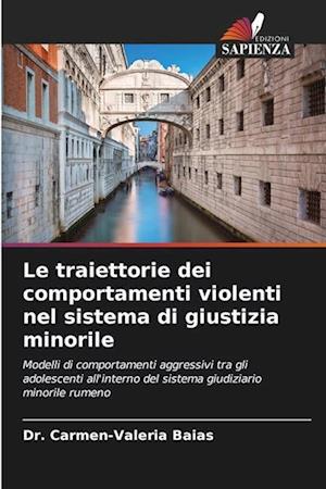 Le traiettorie dei comportamenti violenti nel sistema di giustizia minorile