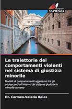 Le traiettorie dei comportamenti violenti nel sistema di giustizia minorile