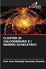 CLUSTER DI CALCOGENURO E I NUMERI SCHELETRICI