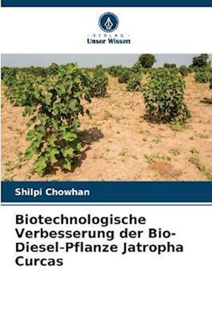 Biotechnologische Verbesserung der Bio-Diesel-Pflanze Jatropha Curcas