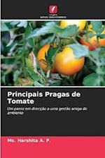 Principais Pragas de Tomate