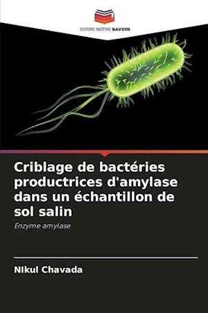 Criblage de bactéries productrices d'amylase dans un échantillon de sol salin