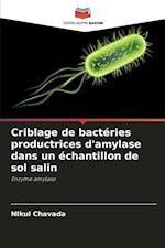 Criblage de bactéries productrices d'amylase dans un échantillon de sol salin