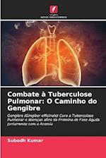 Combate à Tuberculose Pulmonar: O Caminho do Gengibre