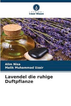 Lavendel die ruhige Duftpflanze