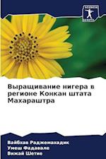 Vyraschiwanie nigera w regione Konkan shtata Maharashtra