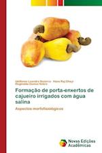 Formação de porta-enxertos de cajueiro irrigados com água salina