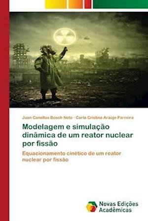 Modelagem e simulação dinâmica de um reator nuclear por fissão