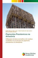 Pigmentos Pozolanicos na Amazônia