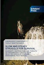 SLOW AND STEADY STRUGGLE FOR SURVIVAL