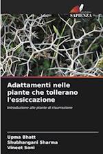 Adattamenti nelle piante che tollerano l'essiccazione