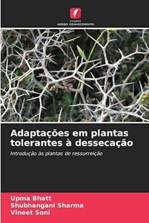 Adaptações em plantas tolerantes à dessecação