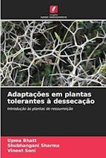 Adaptações em plantas tolerantes à dessecação