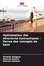 Optimisation des structures hydrauliques : Revue des concepts de base