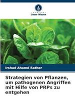 Strategien von Pflanzen, um pathogenen Angriffen mit Hilfe von PRPs zu entgehen