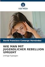 WIE MAN MIT JUGENDLICHER REBELLION UMGEHT