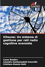 Kitsune: Un sistema di gestione per reti radio cognitive avanzate