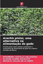 Arachis pintoi, uma alternativa na alimentação do gado