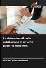 Le determinanti della retribuzione in un ente pubblico della RDC