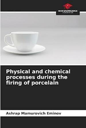 Physical and chemical processes during the firing of porcelain