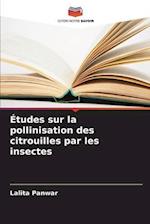 Études sur la pollinisation des citrouilles par les insectes