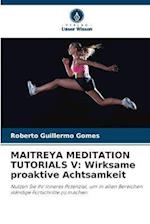 MAITREYA MEDITATION TUTORIALS V: Wirksame proaktive Achtsamkeit