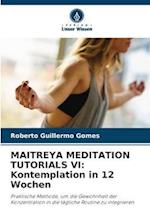 MAITREYA MEDITATION TUTORIALS VI: Kontemplation in 12 Wochen