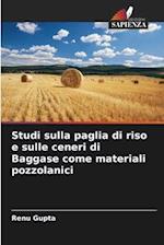 Studi sulla paglia di riso e sulle ceneri di Baggase come materiali pozzolanici