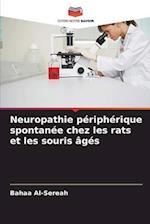 Neuropathie périphérique spontanée chez les rats et les souris âgés