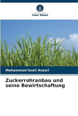 Zuckerrohranbau und seine Bewirtschaftung