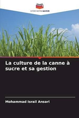 La culture de la canne à sucre et sa gestion