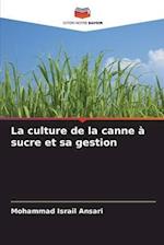 La culture de la canne à sucre et sa gestion