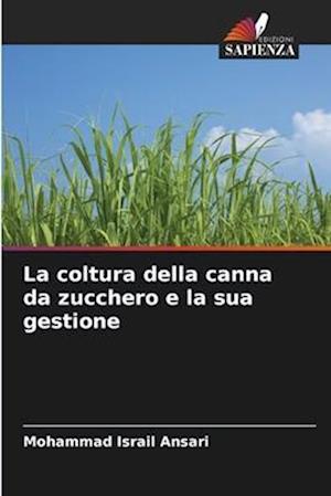 La coltura della canna da zucchero e la sua gestione