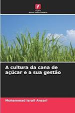 A cultura da cana de açúcar e a sua gestão