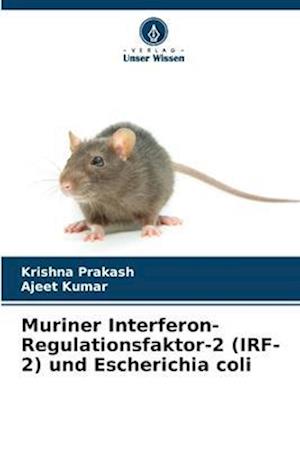 Muriner Interferon-Regulationsfaktor-2 (IRF-2) und Escherichia coli