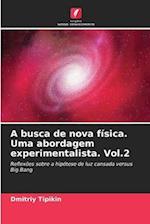 A busca de nova física. Uma abordagem experimentalista. Vol.2