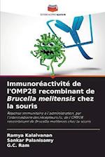 Immunoréactivité de l'OMP28 recombinant de Brucella melitensis chez la souris