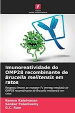 Imunoreatividade do OMP28 recombinante de Brucella melitensis em ratos