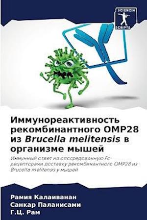 Immunoreaktiwnost' rekombinantnogo OMP28 iz Brucella melitensis w organizme myshej