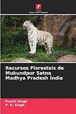 Recursos Florestais de Mukundpur Satna Madhya Pradesh Índia