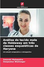 Análise do tecido mole de Holdaway em três classes esqueléticas de Haryana