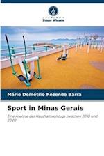 Sport in Minas Gerais