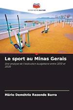 Le sport au Minas Gerais