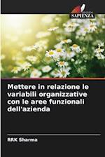 Mettere in relazione le variabili organizzative con le aree funzionali dell'azienda