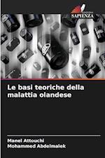 Le basi teoriche della malattia olandese