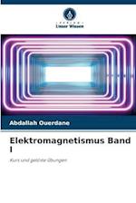 Elektromagnetismus Band I