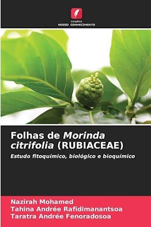 Folhas de Morinda citrifolia (RUBIACEAE)