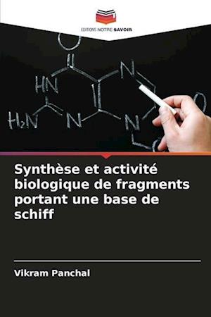 Synthèse et activité biologique de fragments portant une base de schiff